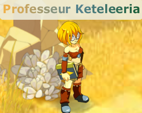 Professeur Keteleeria