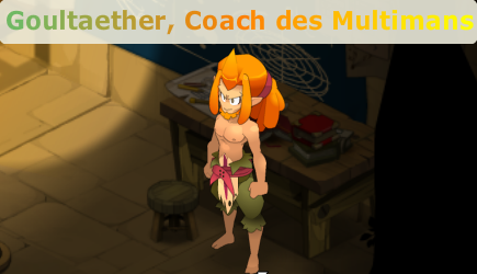 Goulaether, Coach des Multimans